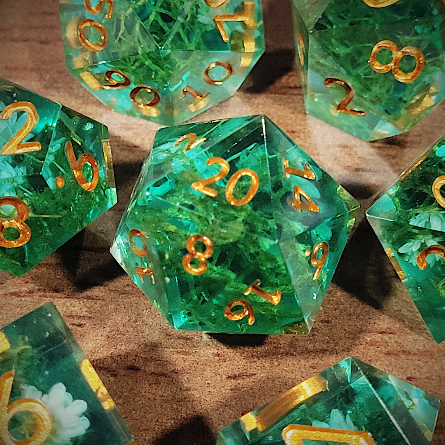 Dead Marshes  - 7 piece set