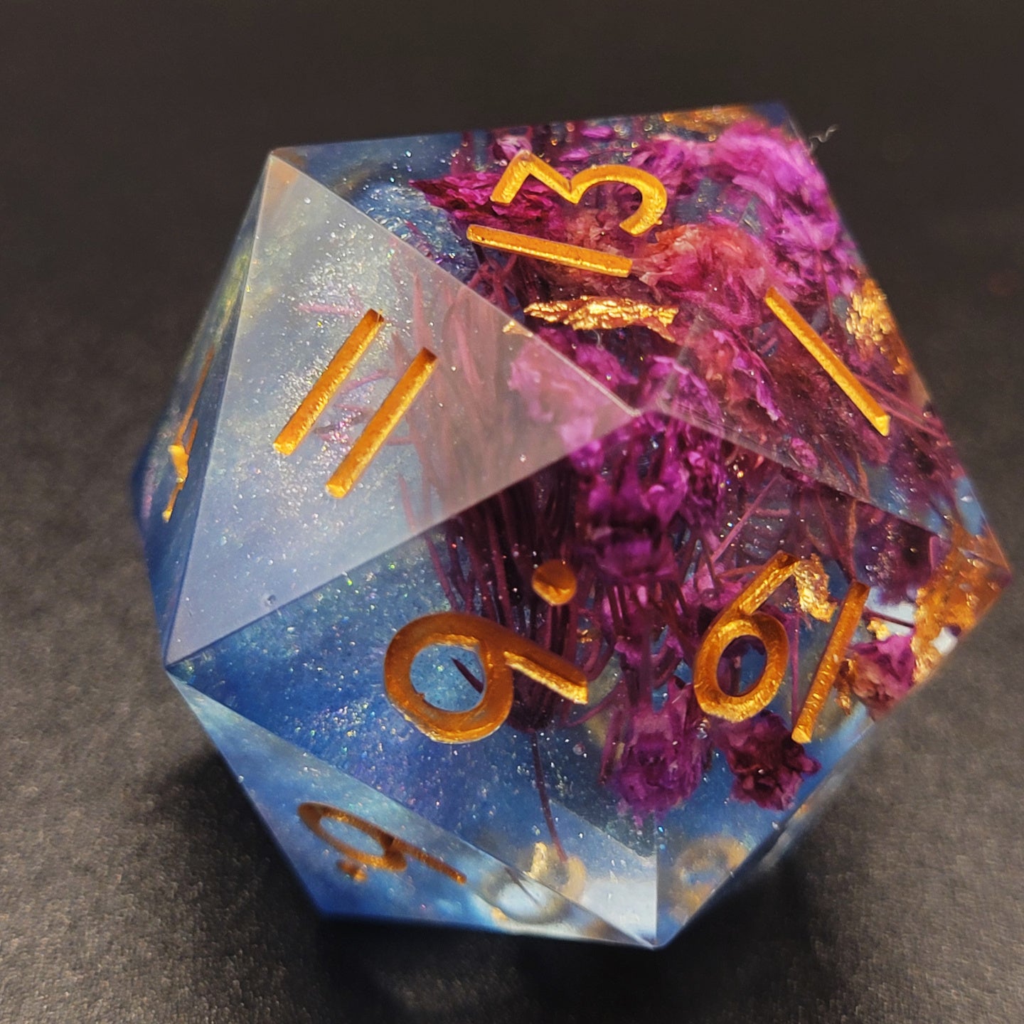 Abandoned - Mega Chonk D20